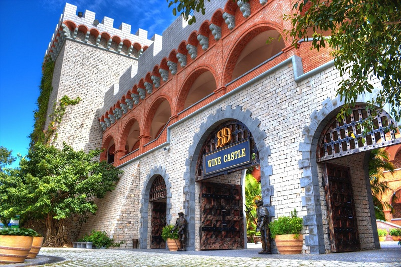 Ảnh slide minh họa 11